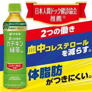 特定保健用食品 伊藤園 2つの働き カテキン緑...の詳細画像1