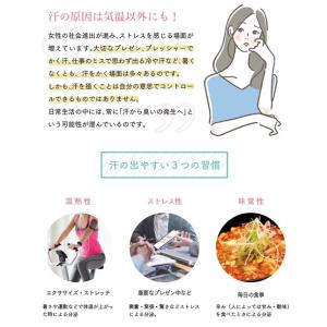 デオドラント わきが 薬用デオDR 30g 3...の詳細画像4