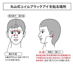 電磁波 対策 丸山式コイル ブラックアイ 50...の詳細画像2