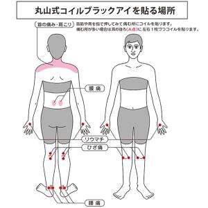 電磁波 対策 丸山式コイル ブラックアイ 50...の詳細画像3