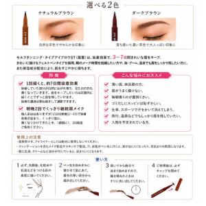 ビナ薬粧 アイブロウST (メール便送料無料)...の詳細画像2