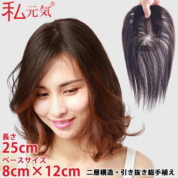 私元気 人毛 部分ウィッグ BHADS812-25 BR 茶色 (送料無料) ポイントウィッグ 白髪...