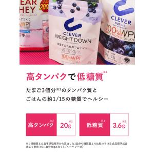 クレバー ウエイトダウン WPI ホエイプロテ...の詳細画像2