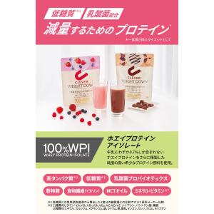 クレバー ウエイトダウン WPI ホエイプロテ...の詳細画像3
