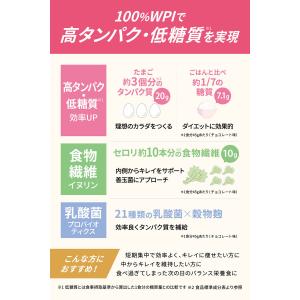 クレバー ウエイトダウン WPI ホエイプロテ...の詳細画像4