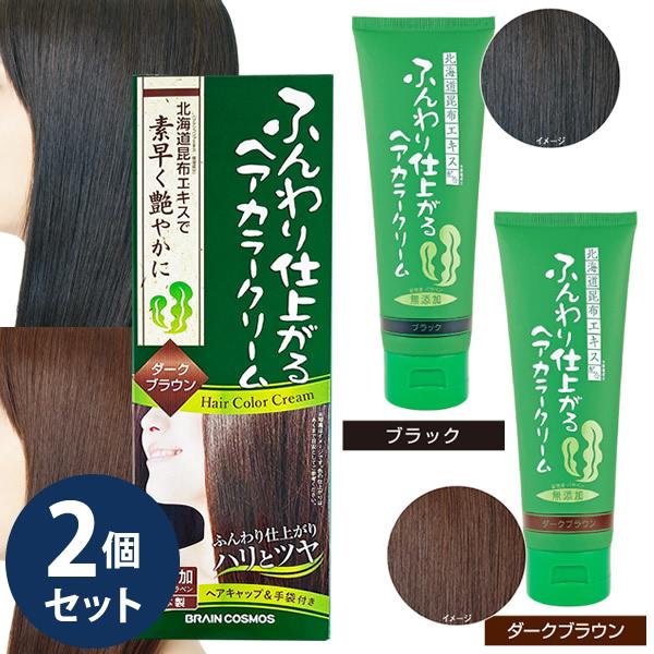ふんわり仕上がるヘアカラークリーム 200g 2個セット (全国一律送料無料) 白髪染め ヘアカラー...