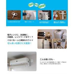 なんでもぜんまい (メール便送料無料) おもち...の詳細画像2