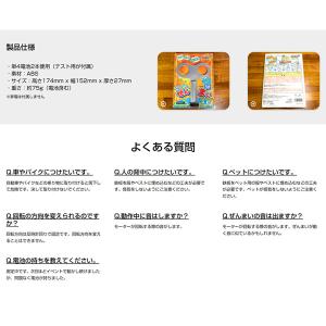 なんでもぜんまい (メール便送料無料) おもち...の詳細画像3