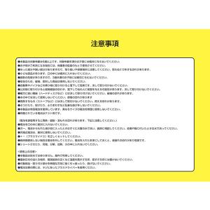 なんでもぜんまい (メール便送料無料) おもち...の詳細画像4