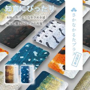さかなかるたプラス【伝説の魚版・海の釣魚版】かる...の商品画像