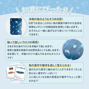 さかなかるたプラス【伝説の魚版・海の釣魚版】か...の詳細画像4