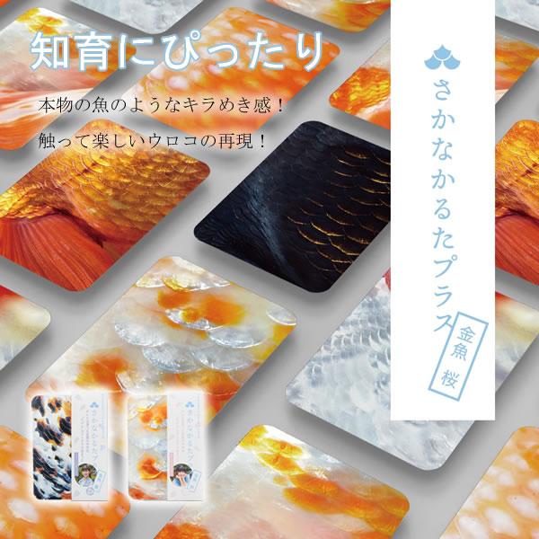さかなかるたプラス【金魚版】かるた 魚 知育 カードゲーム 玩具 教育 おもちゃ お風呂 人気 知育...