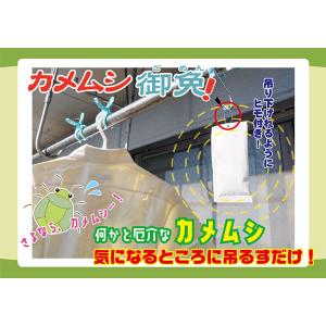 カメムシ 御免! (メール便送料無料) カメム...の詳細画像1
