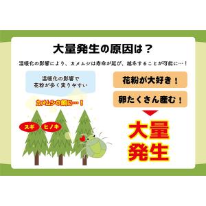 カメムシ 御免! (メール便送料無料) カメム...の詳細画像3
