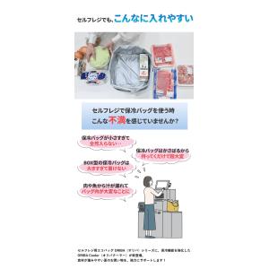 ORIBA オリバ 保冷バッグ 大 (メール便...の詳細画像2