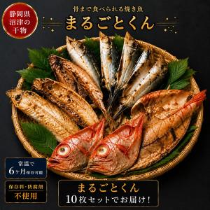 静岡県沼津干物 骨まで食べられる干物 まるごとくん 10枚セット (送料無料) 干物 常温保存 焼き魚 食べ比べ 備蓄 防災食 非常食 真あじ 真いわし かます