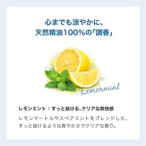 だいじょうぶなもの クーリングボディミスト 1...の詳細画像5