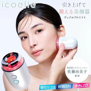 美品 株式会社エステツイン ESTHE TWIN SE 美顔器 元箱あり