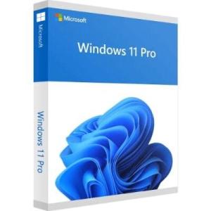 Windows 11 professional 1PC 日本語 正式正規版 認証保証 ウィンドウズ win11 OS ダウンロード版 プロダクトキー ライセンス認証 永久 64bitのみ｜candynail