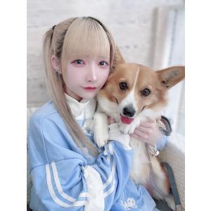 究極人形☆空鬼てと☆POSTチェキ販売窓口