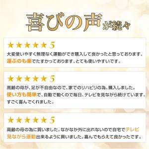 らくらくペダル フィットネスバイク 高齢者 ミ...の詳細画像2