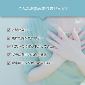 フロントホックブラ ブラジャー フロントホック...の詳細画像2