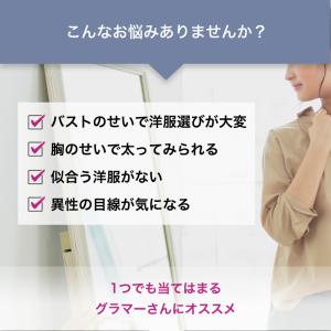 胸を小さく見せるブラ ノンワイヤー 胸を小さく...の詳細画像1