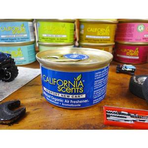 カリフォルニアセンツ　スピルプルーフオーガニック　車用芳香剤　（ニューポートニューカー）　アメリカ雑...