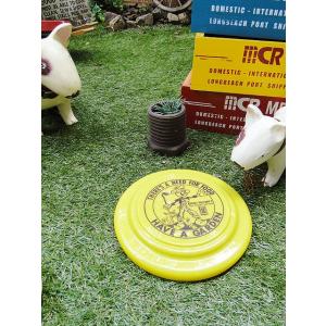 アメリカンアド　フリスビー　（レディキロワット）　アメリカ雑貨　アメリカン雑貨　インテリア　雑貨　グ...