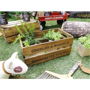 オールドパインボックス　（キャリー）　アメリカン雑貨　アメリカ雑貨