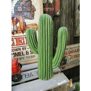 ダルトン　カクタスディスプレイ　（Mサイズ）　■　アメリカン雑貨　アメリカ雑貨　DULTON
