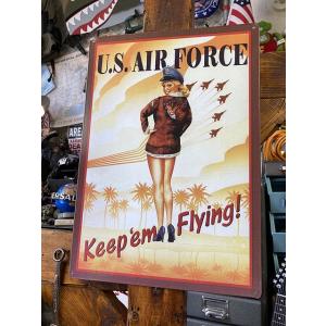 U.S.エアフォースガール　ブリキ看板 ■ アメリカン雑貨 アメリカ雑貨