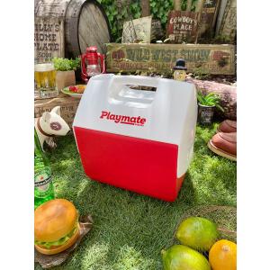 イグルー　プレイメイト　パル　6L　（レッド）　■ アメリカ雑貨 アメリカン雑貨　クーラーBOX