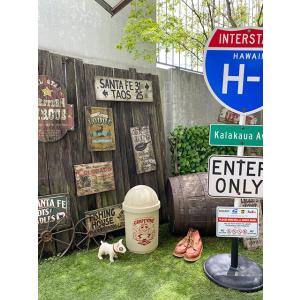 カリフォルニアレーズン 35Lダストボックス ...の詳細画像5