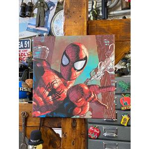 マーベルコミック　スパイダーマン　キャンバスアート　（ウェブスリング・クローズアップ）　■　アメリカ...