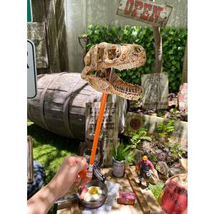 パクパクダイナソー　Tレックススカルスナッパー ■ アメリカン雑貨 アメリカ雑貨