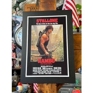 ハリウッドポスター #0022 映画 ロストワールド ジュラシックパーク