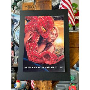 スパイダーマン スパイダーバース 映画ポスター マーベル US版 22×34