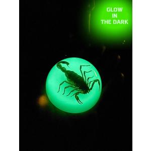 暗闇で光る！　蓄光　本物のサソリが入ってる　スコーピオン　ドロップ　ペーパーウェイト　標本　アメリカ...