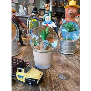 DULTON（ダルトン） インテリア PLANTS WATER GLOBE/ プランツ
