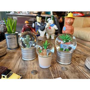 ダルトン　プランツ　ウォーターグローブ　（3個セット）　サボテン　カクタス　アガベ　スノードーム　ス...