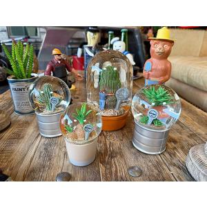 ダルトン　プランツ　ウォーターグローブ　（4個セット）　サボテン　カクタス　アガベ　スノードーム　ス...