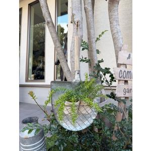 アメリカン レトロ 【即納】【在庫あり】 パームビーチ ネオン管