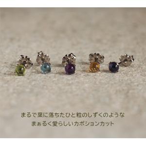純チタン セカンドピアス アレルギー対応 つけ...の詳細画像2