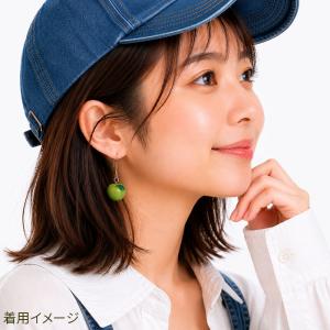 ピアス りんご フルーツ 金属アレルギー対応 ...の詳細画像3