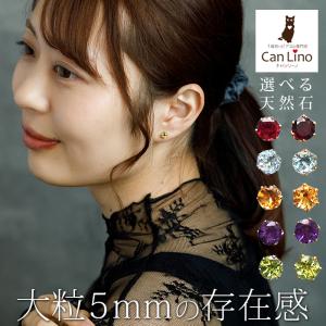CELINE セリーヌ ピアス PERLS EARRINGS 460TZ6PRB.01GI レディース