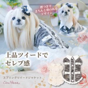 MONCLER（モンクレール） 【並行輸入品】モンクレール ポルド ドッグ