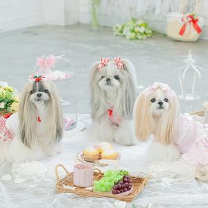 犬 服 犬の服 春夏 さくらんぼギンガムワンピ...の詳細画像2