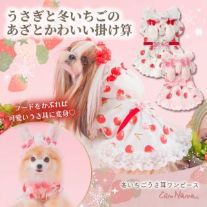 公式きゃんナナオンラインショップ - Yahoo!ショッピング