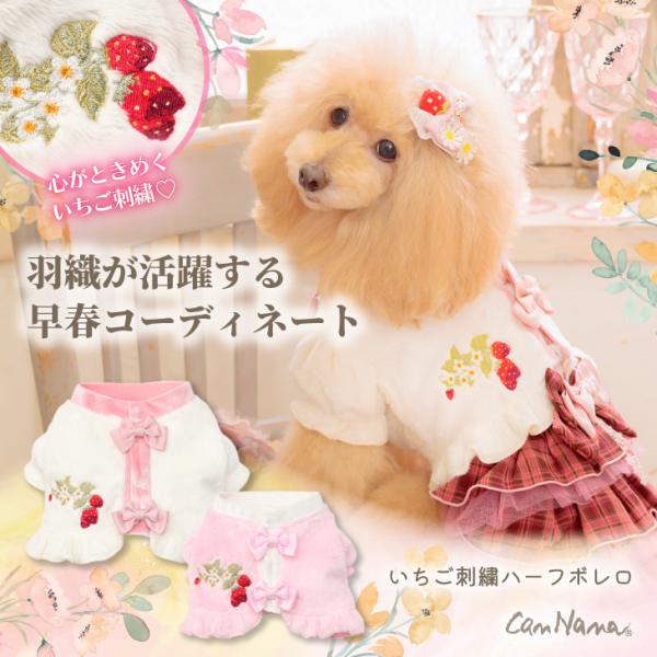ボレロ ハーフ アウター 防寒 犬服 いちご ブランド 小型犬 撮影会 きゃんナナ 服 1176